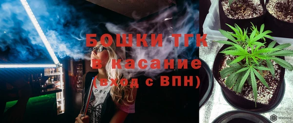дурь Новодвинск