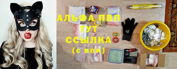 крисы Алзамай